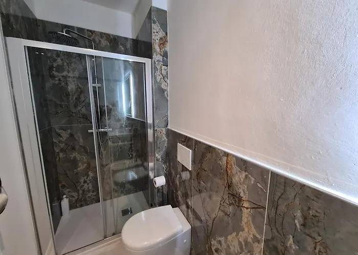 公寓 Allegra & 维亚雷焦